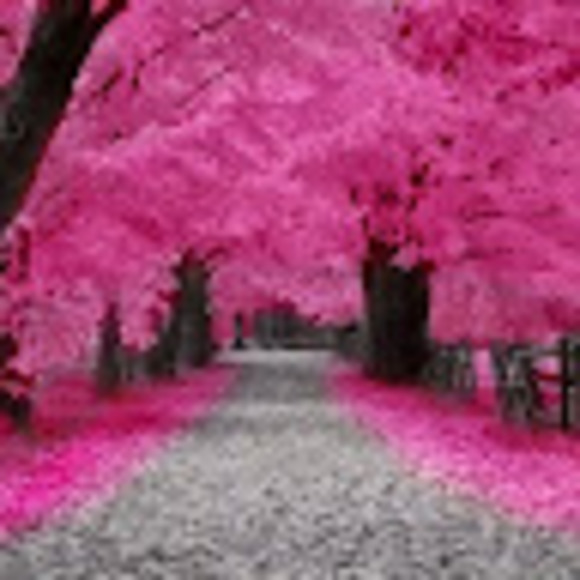 Meet your Posher, Terez - Picture 1 of 1